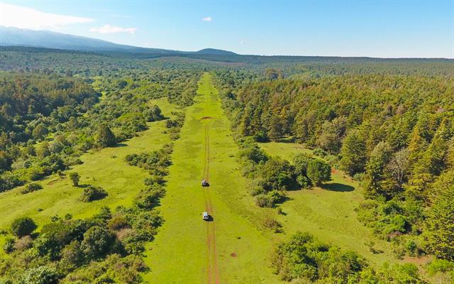 africa-e-oceano-indiano (9).jpg